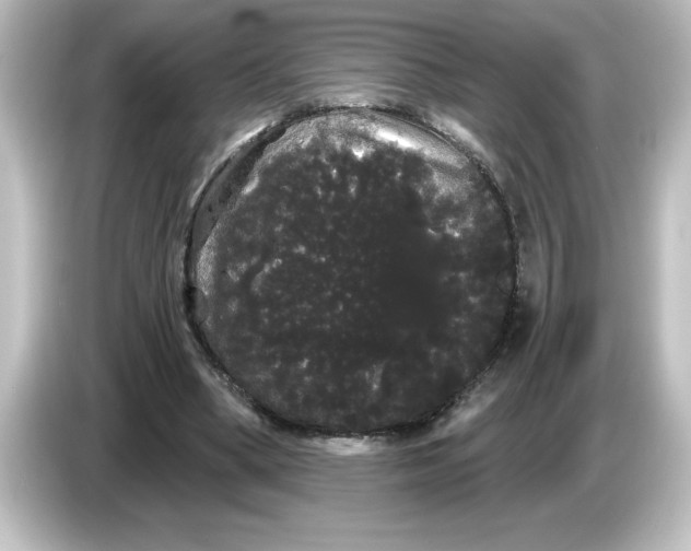 X0000084580394200703161744