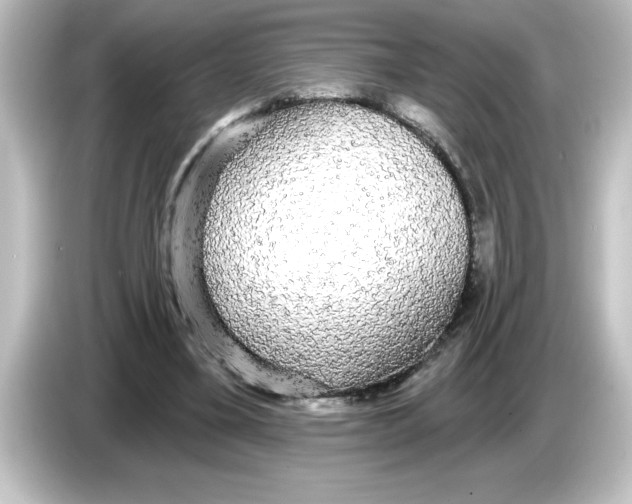 X0000084580395200703161744