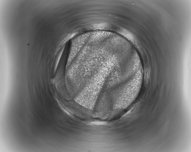 X0000084580397200703161744