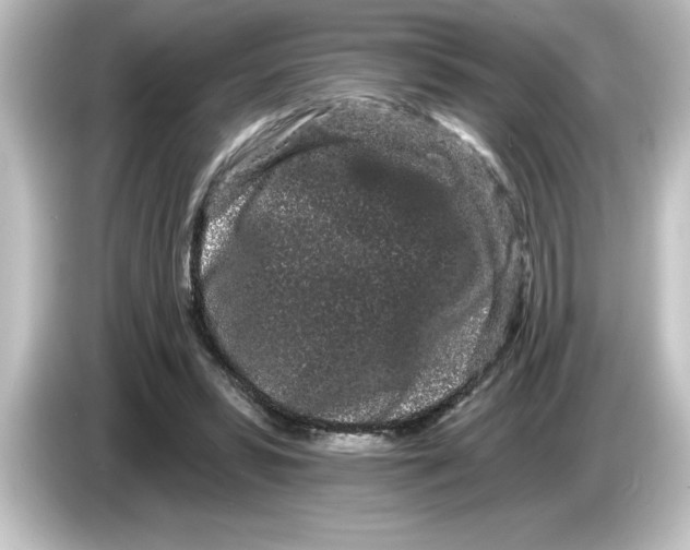 X0000084580399200703161744