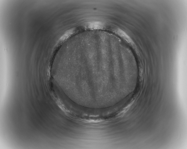 X0000084580401200703161744
