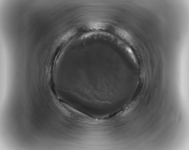 X0000084580402200703161744