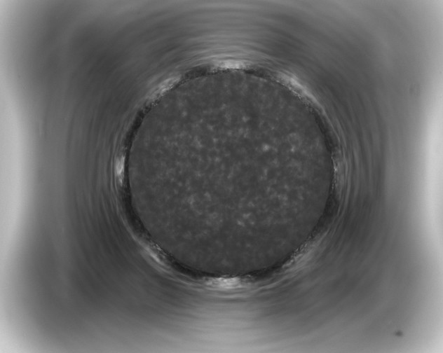 X0000084580406200703161744