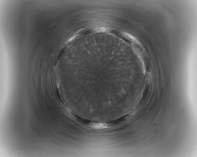 X0000084580409200703161744