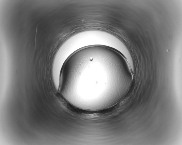 X0000084580411200703161744