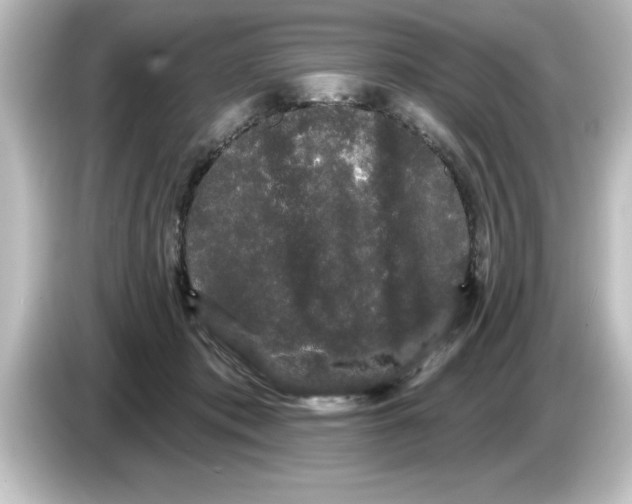 X0000084580413200703161744