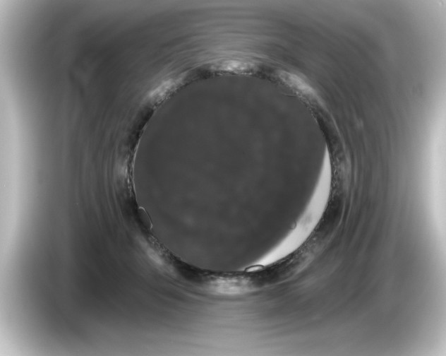 X0000084580415200703161744