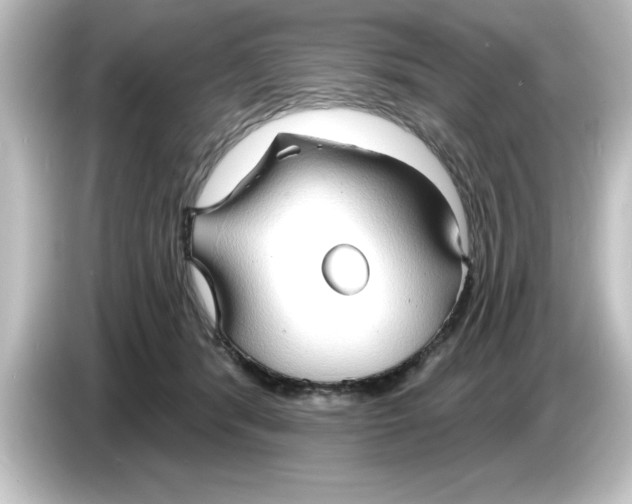 X0000084580416200703161744
