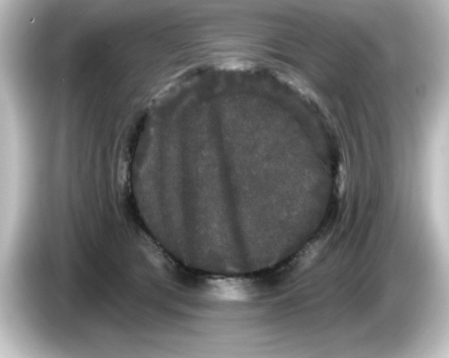 X0000084580417200703161744