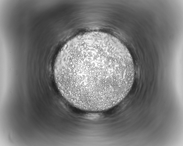 X0000084580418200703161744