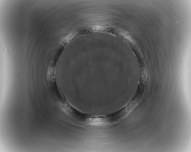 X0000084580419200703161744