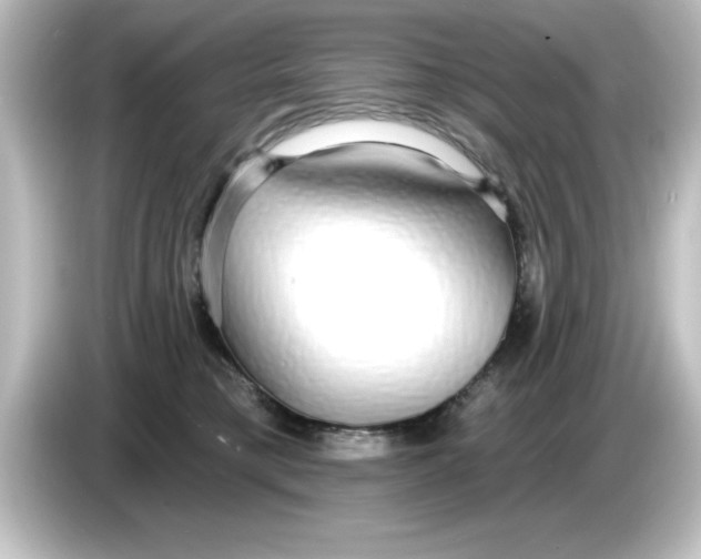 X0000084580421200703161744
