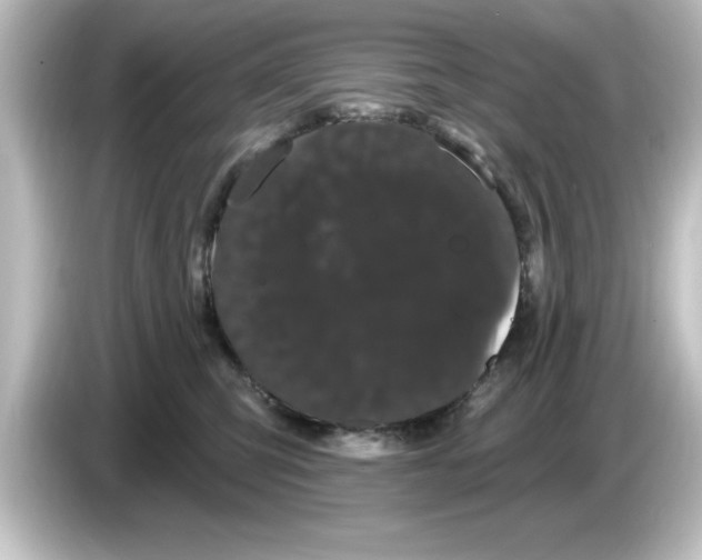 X0000084580423200703161744