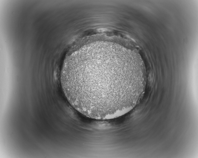 X0000084580424200703161744
