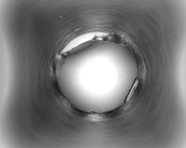X0000084580425200703161744