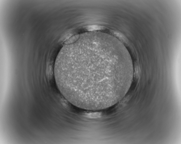 X0000084580426200703161744
