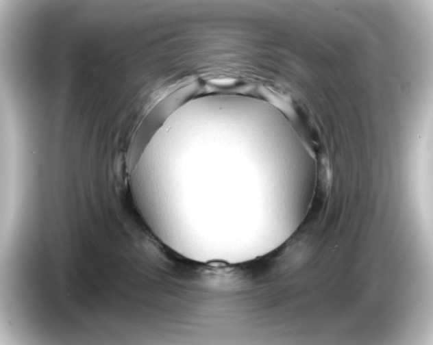 X0000084580428200703161744