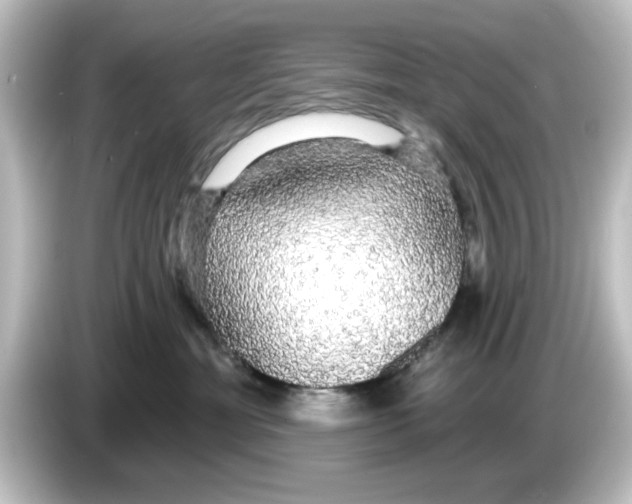 X0000084580429200703161744