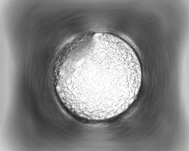 X0000084580433200703161743