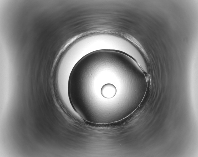 X0000084580436200703161743