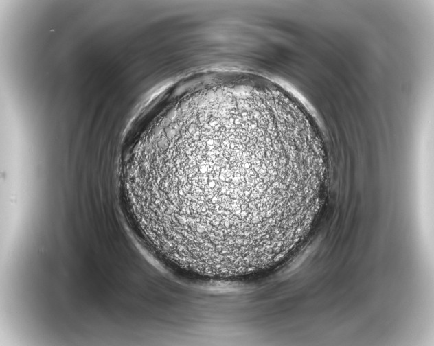 X0000084580437200703161743