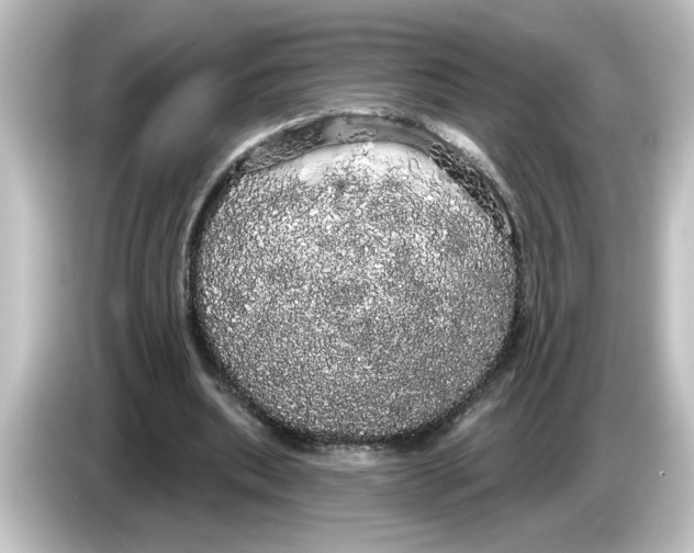 X0000084580439200703161744