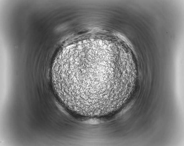 X0000084580441200703161744