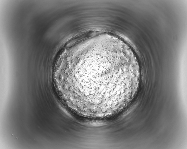 X0000084580445200703161744