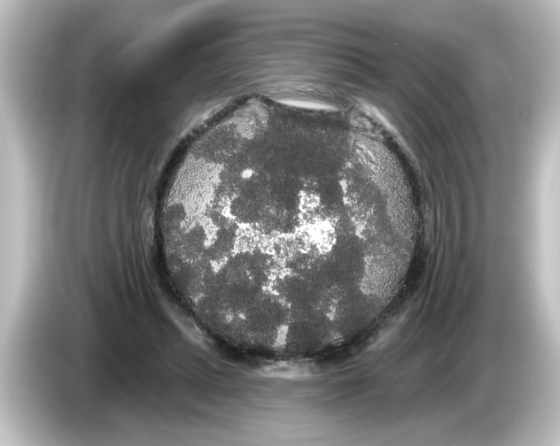 X0000084580447200703161744