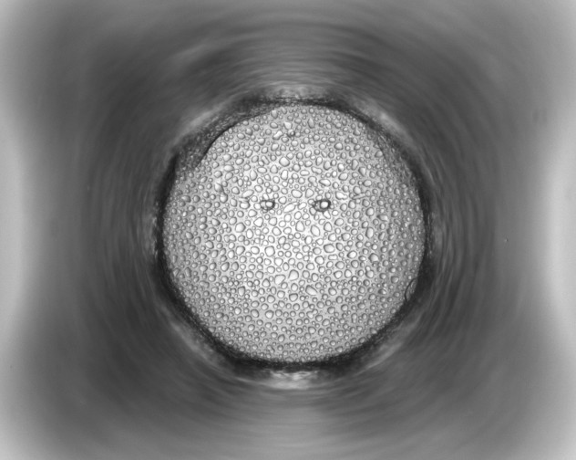 X0000084580450200703161744