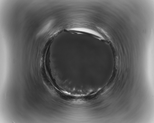X0000084580451200703161744