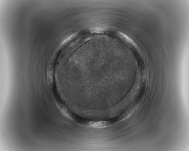 X0000084580452200703161744