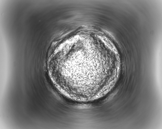 X0000084580453200703161744