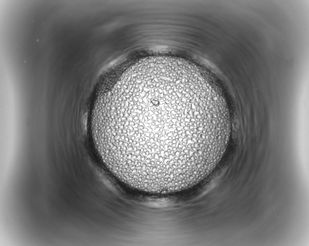 X0000084580454200703161744