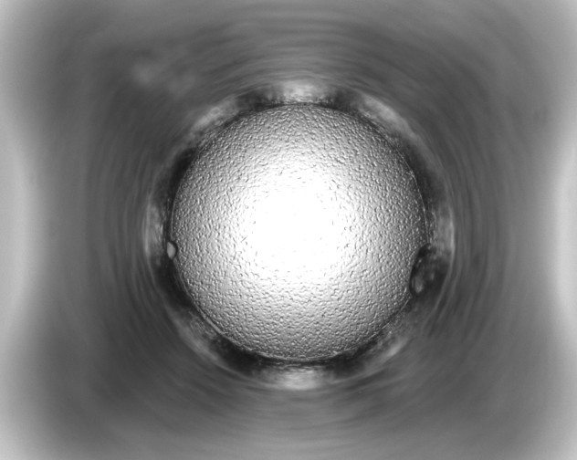 X0000084580456200703161744