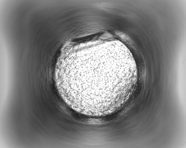 X0000084580457200703161744