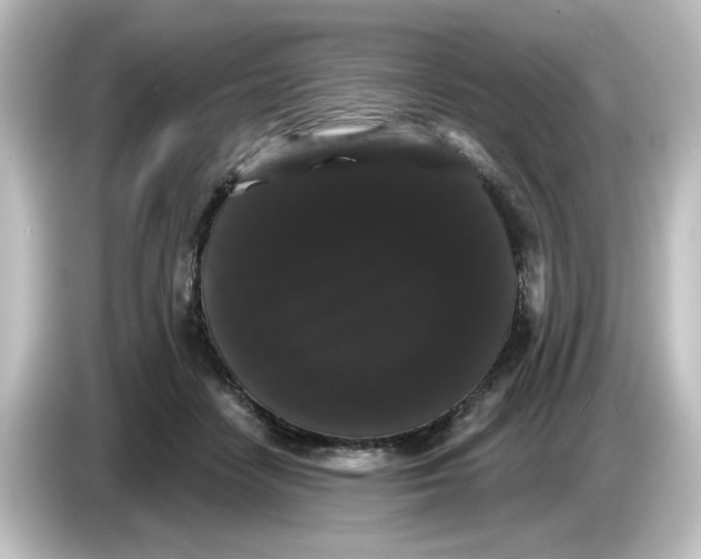 X0000084580458200703161744