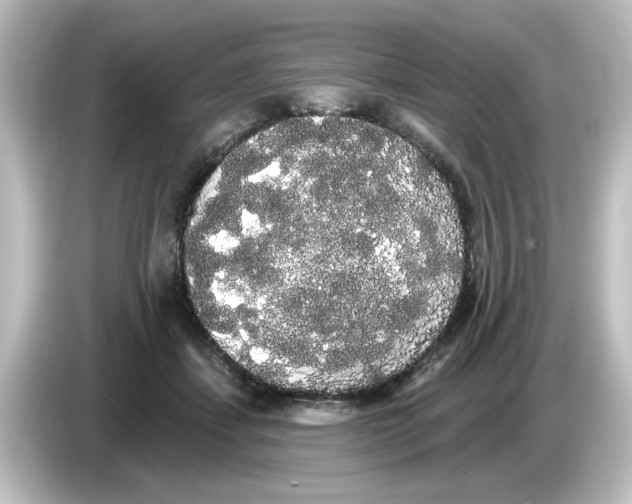 X0000084580459200703161744