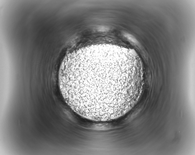 X0000084580461200703161744