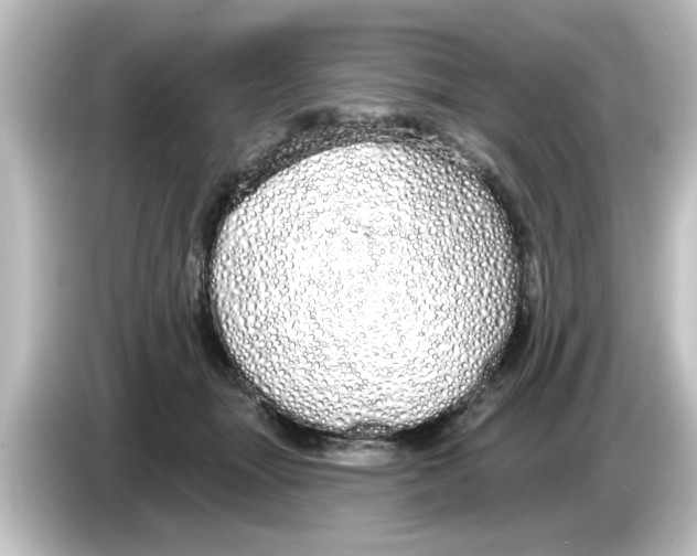 X0000084580463200703161744
