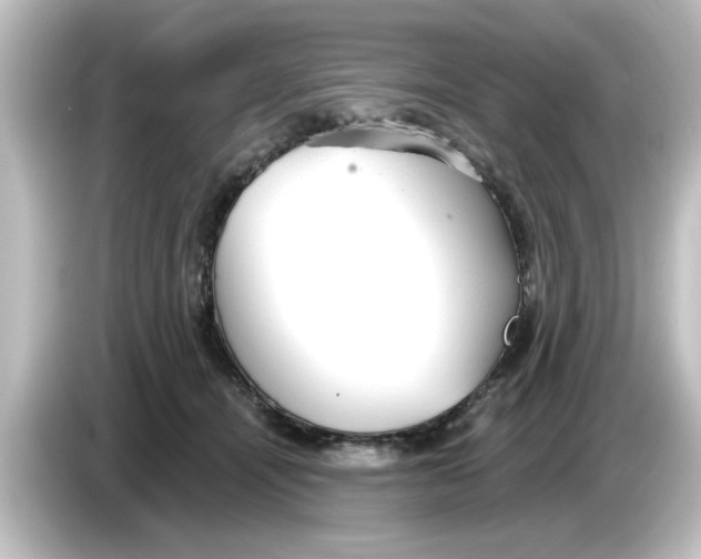 X0000084580464200703161744