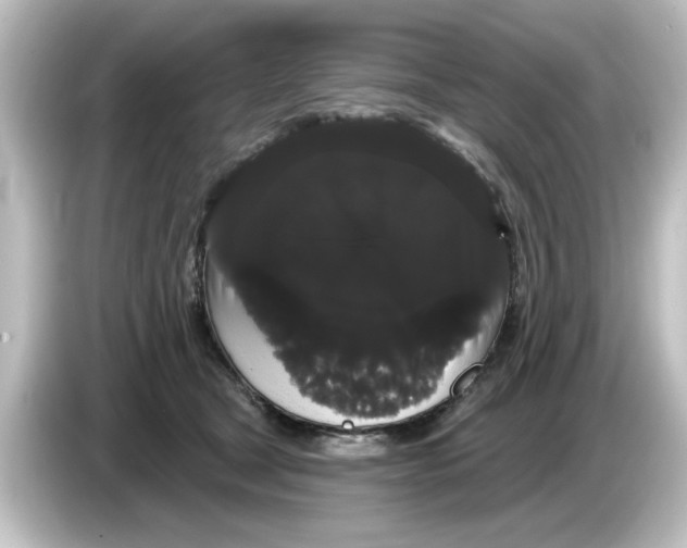 X0000084580465200703161744