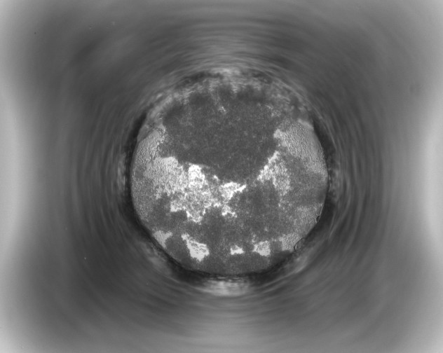 X0000084580466200703161744