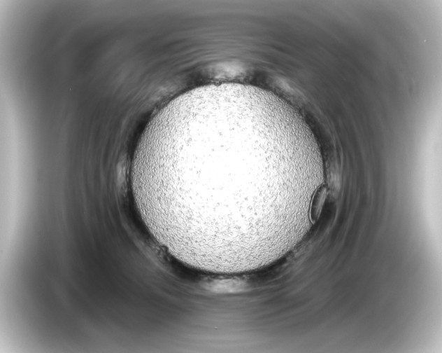 X0000084580468200703161744