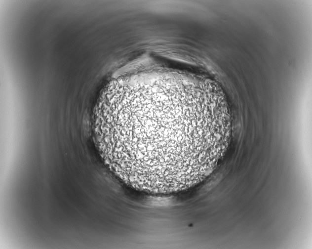 X0000084580469200703161744