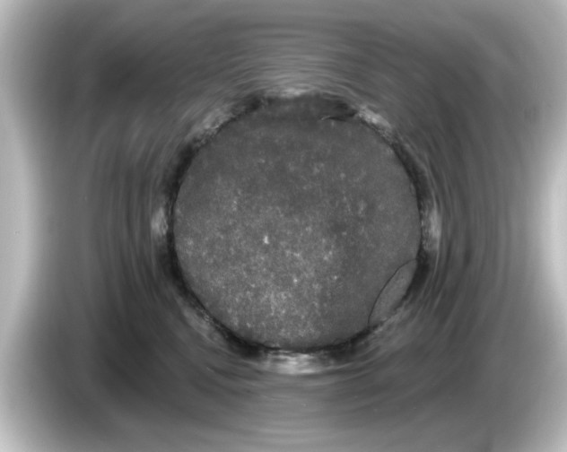 X0000084580472200703161744