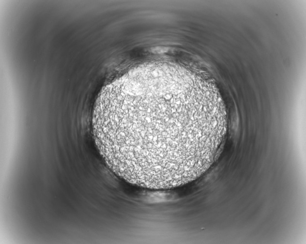 X0000084580473200703161744