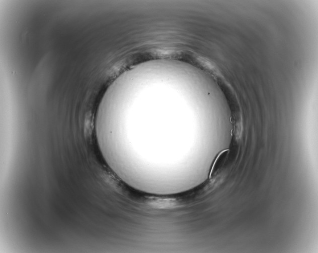 X0000084580476200703161744