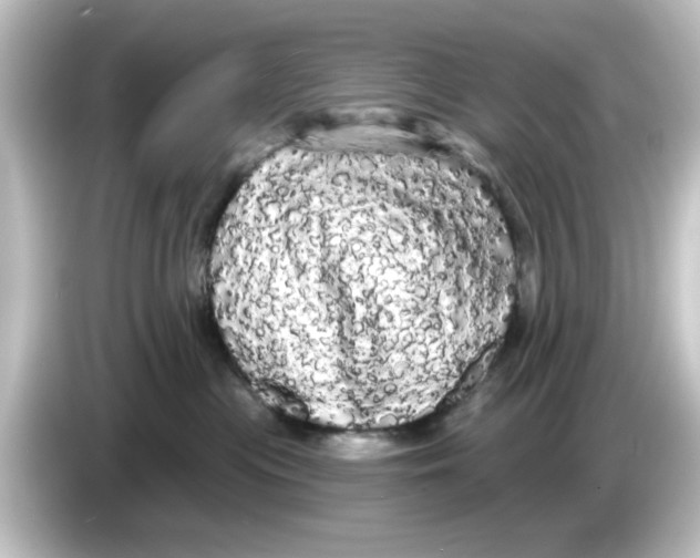 X0000084580477200703161744
