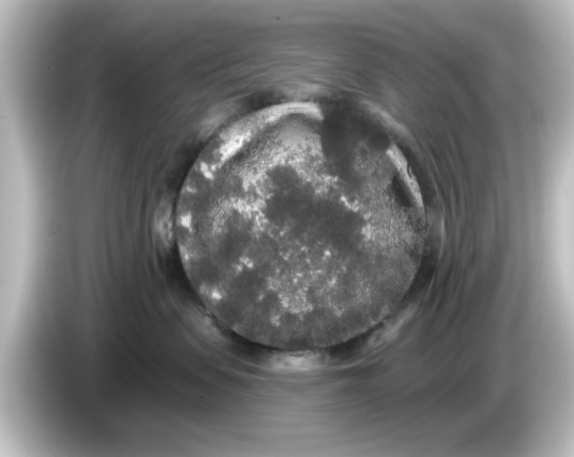 X0000084580479200703161744
